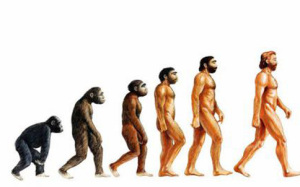 Human-1